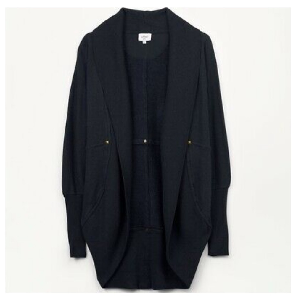 Aritzia Diderot sweater